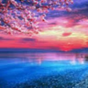 Meet your Posher, Lavonn